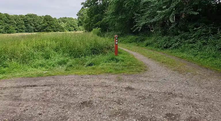 Sommerhus i Fugleslev