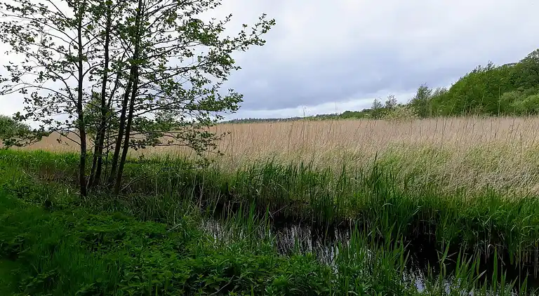 Sommerhus i Fugleslev