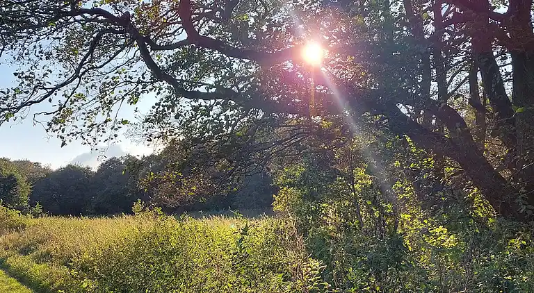 Sommerhus i Fugleslev