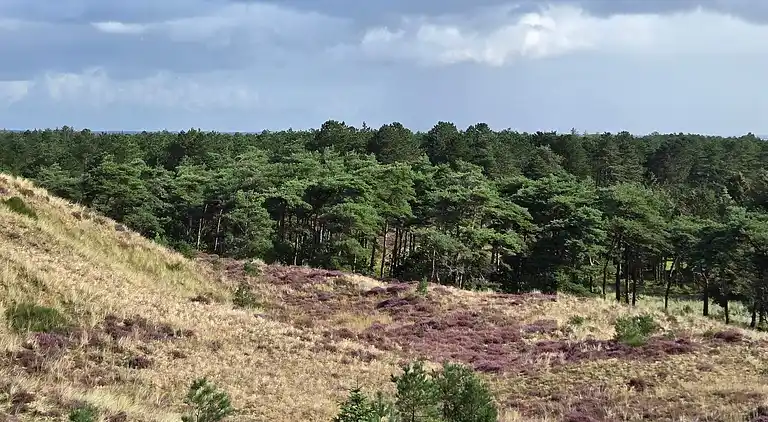 Holiday home in Blåvand