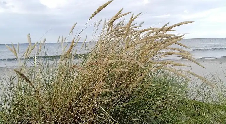 Casa de vacaciones en Bratten Strand