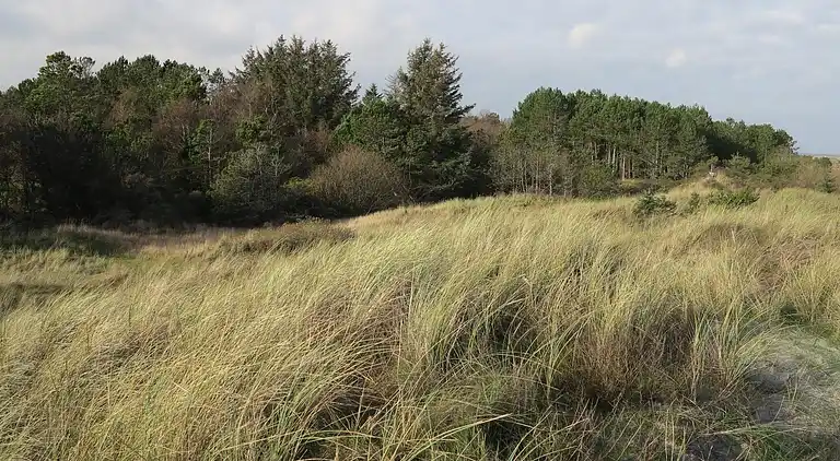 Casa de vacaciones en Bratten Strand