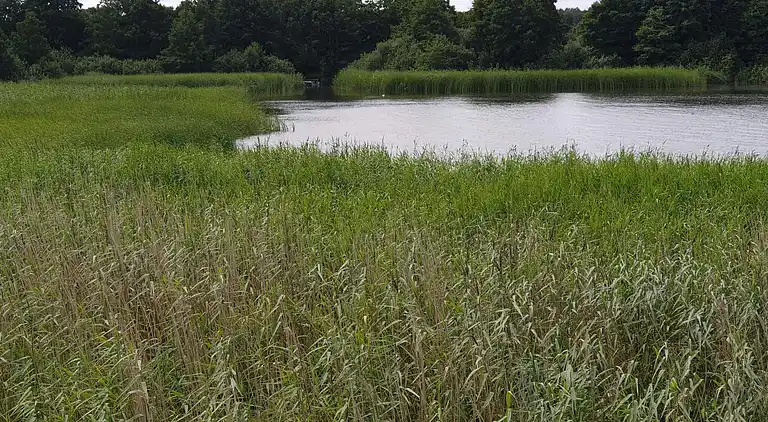 Sommerhus i Ebeltoft