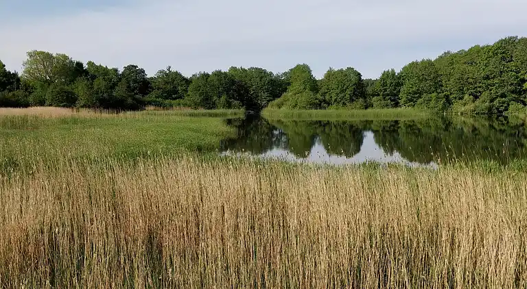 Sommerhus i Ebeltoft