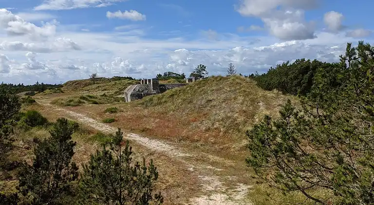 Sommerhus i Blåvand