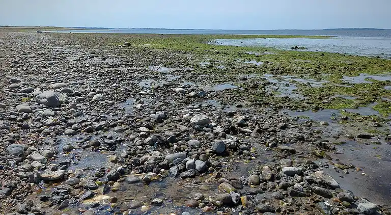 Holiday home in Trend