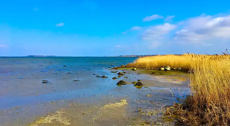 Holiday home in Bogø By