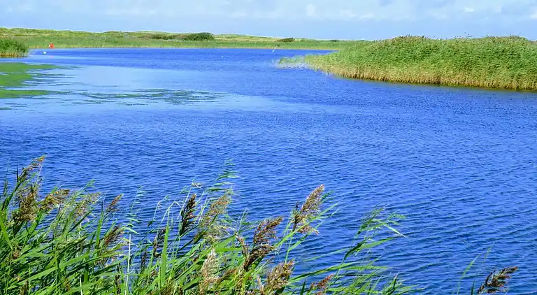 Holiday home in Bork Habor