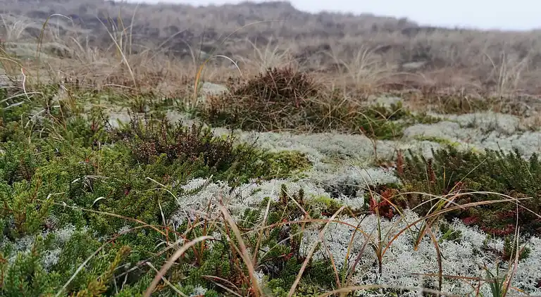 Holiday home in Bork Habor