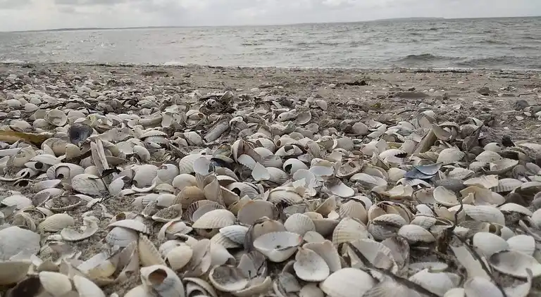 Holiday home in Trend