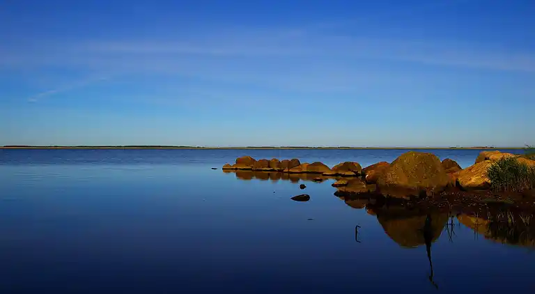 Feriebolig i Bork Havn