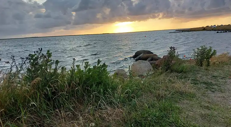 Feriebolig i Bork Havn