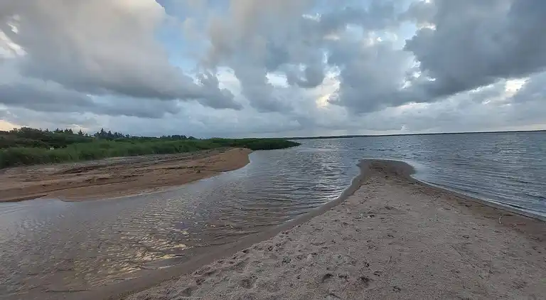 Sommerhus i Bork Havn