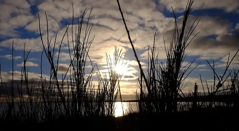 Feriebolig ved Handrup Strand