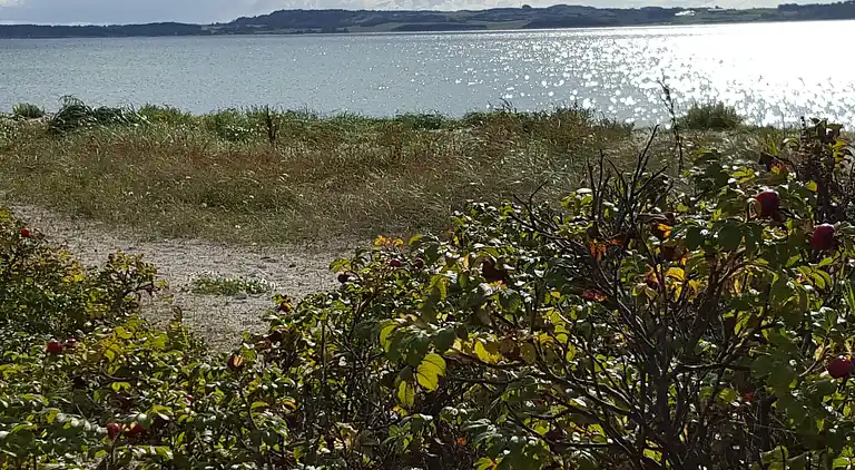 Feriebolig ved Handrup Strand