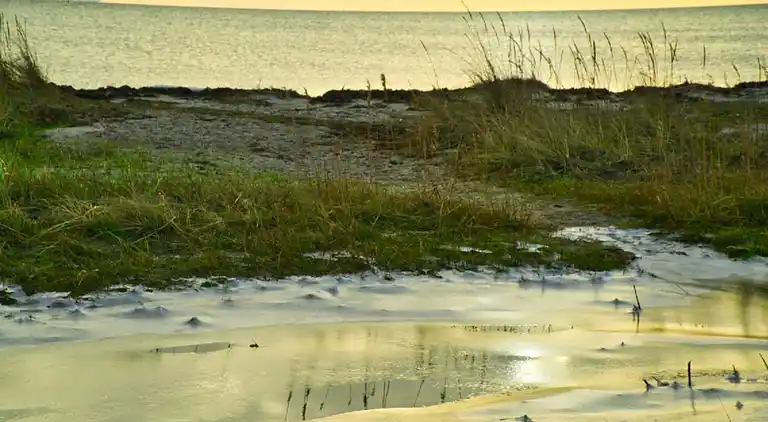 Feriebolig ved Handrup Strand