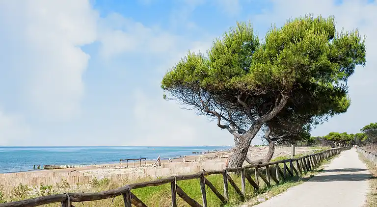 Cozy flat in a quiet area of Bibione