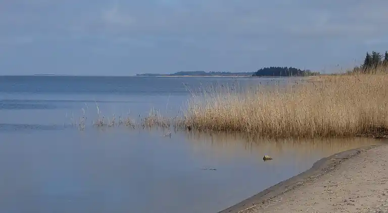 Holiday home in Bork Habor