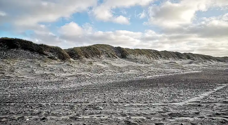 Feriebolig i Ulfborg