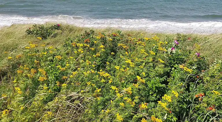 Holiday home in Smidstrup Strand