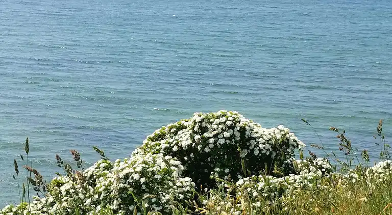 Holiday home in Ristinge