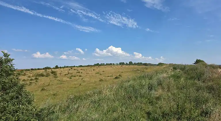 Holiday home in Ristinge