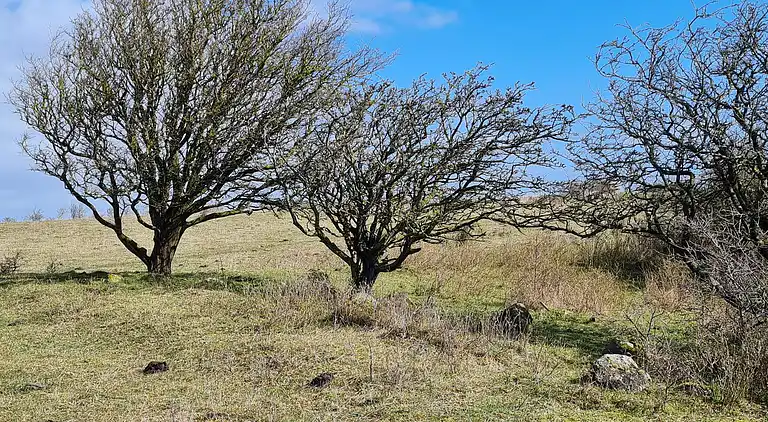 Holiday home in Ristinge