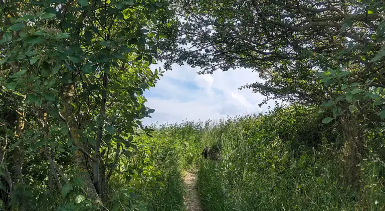Holiday home in Ristinge