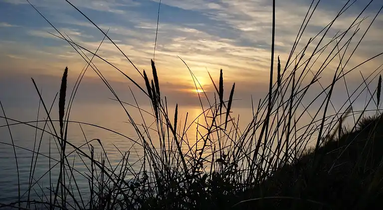 Holiday home in Ristinge