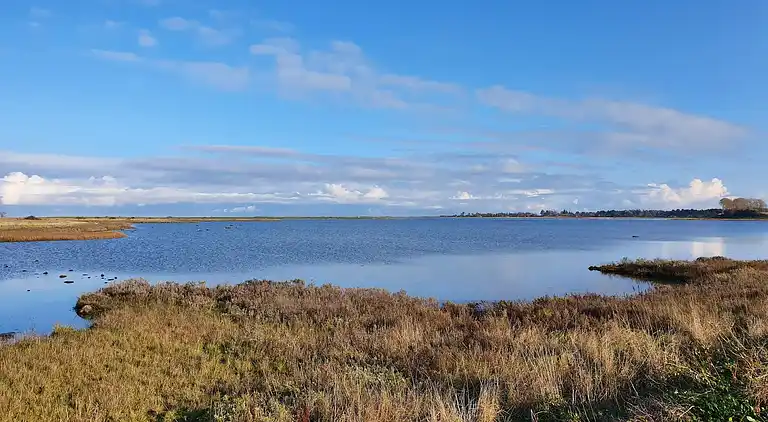Semesterbostad i Martofte