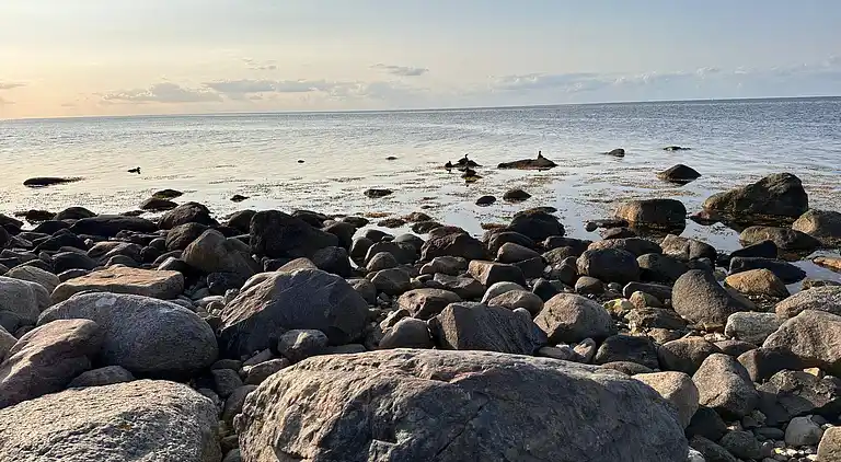 Semesterbostad i Martofte