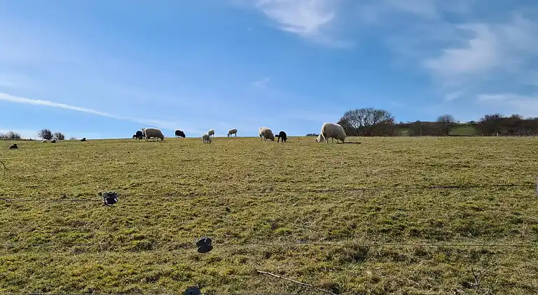 Semesterbostad i Martofte