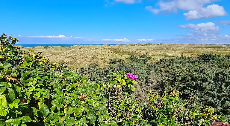 Holiday home in Hvide Sande