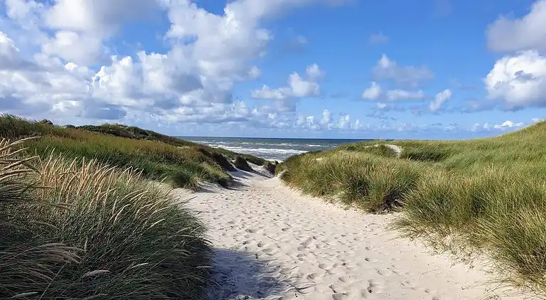 Holiday home in Hvide Sande