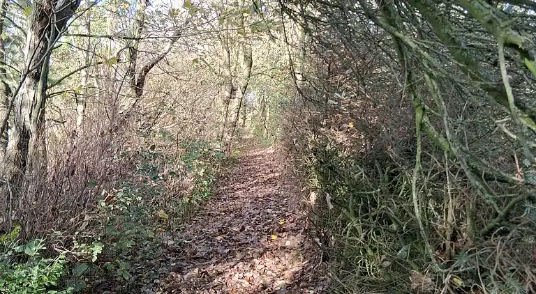 Gemütliche kleine Ferienoase in schöner Natur