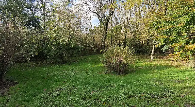 Gemütliche kleine Ferienoase in schöner Natur