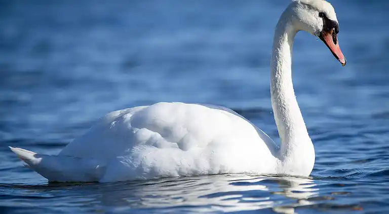 Holiday home in Bjert