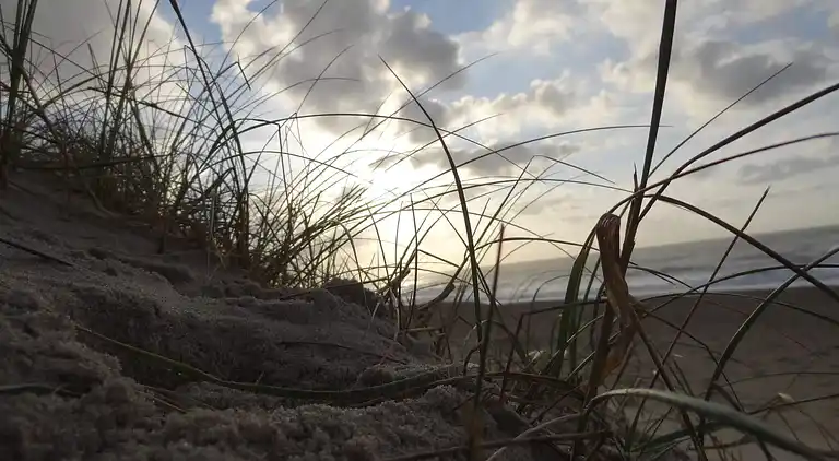 Sommerhus ved Vrist Strand