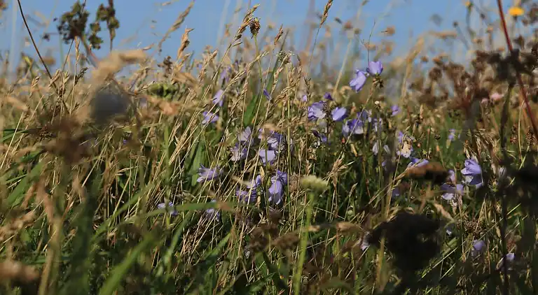 Holiday home in Agger