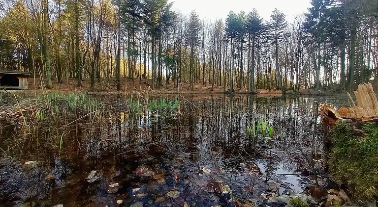 Holiday home in Vestervig