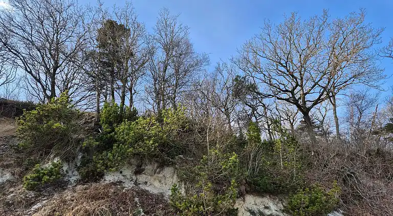 Holiday home in Thyholm