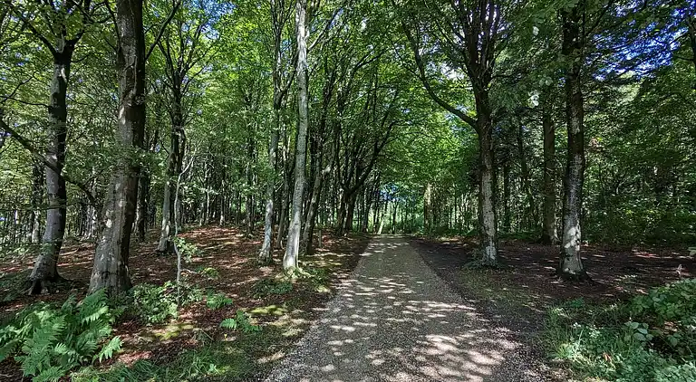 Holiday home in Vestervig