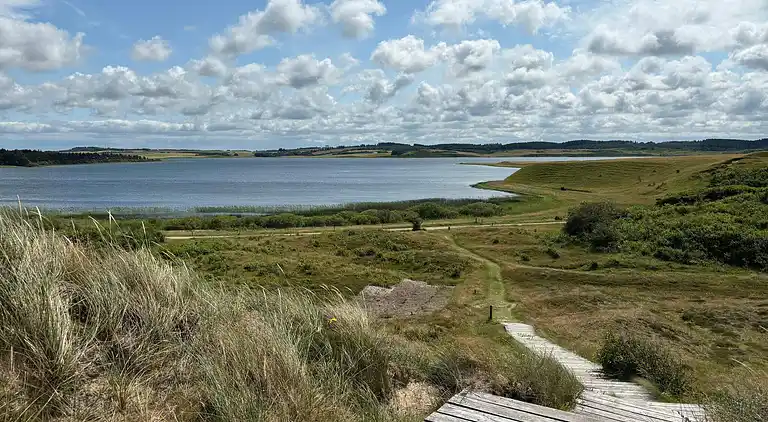 Holiday home in Snedsted