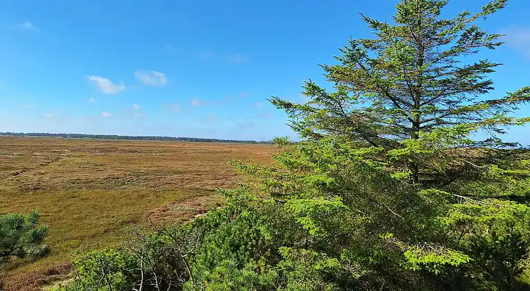 Holiday home in Snedsted