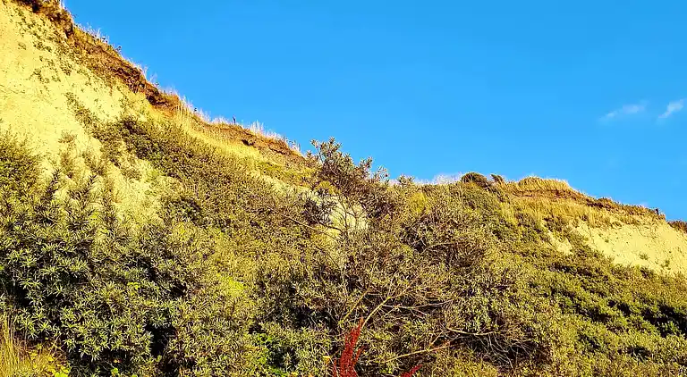 Holiday home in Agger