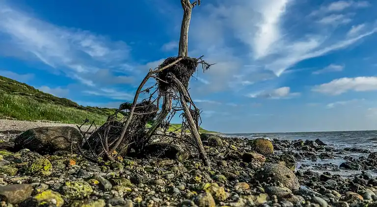 Holiday home in Agger