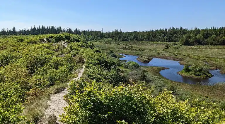 Holiday home in Thisted