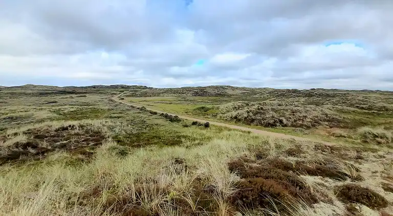 Holiday home in Thisted