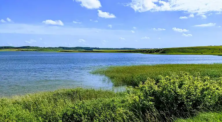 Holiday home in Thisted