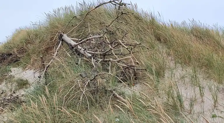 Sommerhus i Harboøre